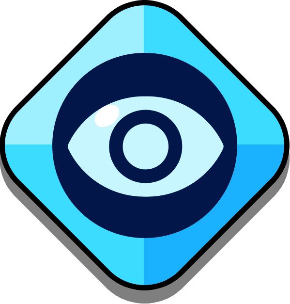 Vision